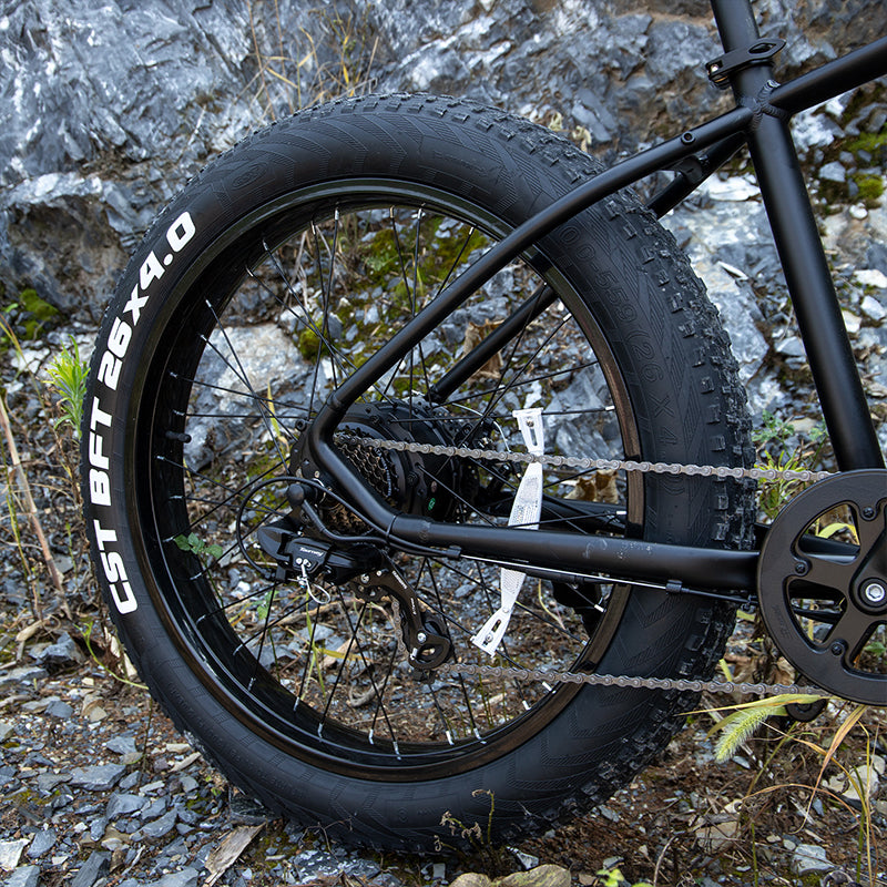 Sivrock 7-Speed E-Bike Electric Bike