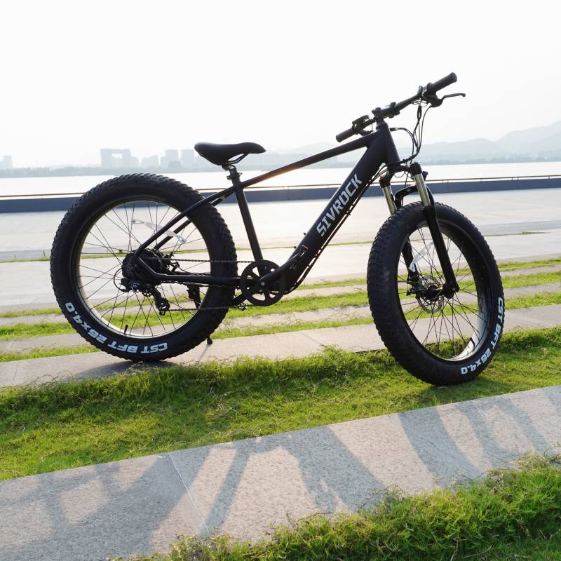Sivrock 7-Speed E-Bike Electric Bike